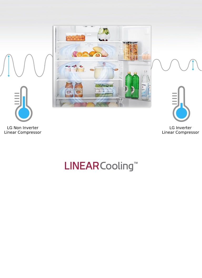 LG Fridges GT515SDC Top Mount Fridge with Door Cooling LG Australia